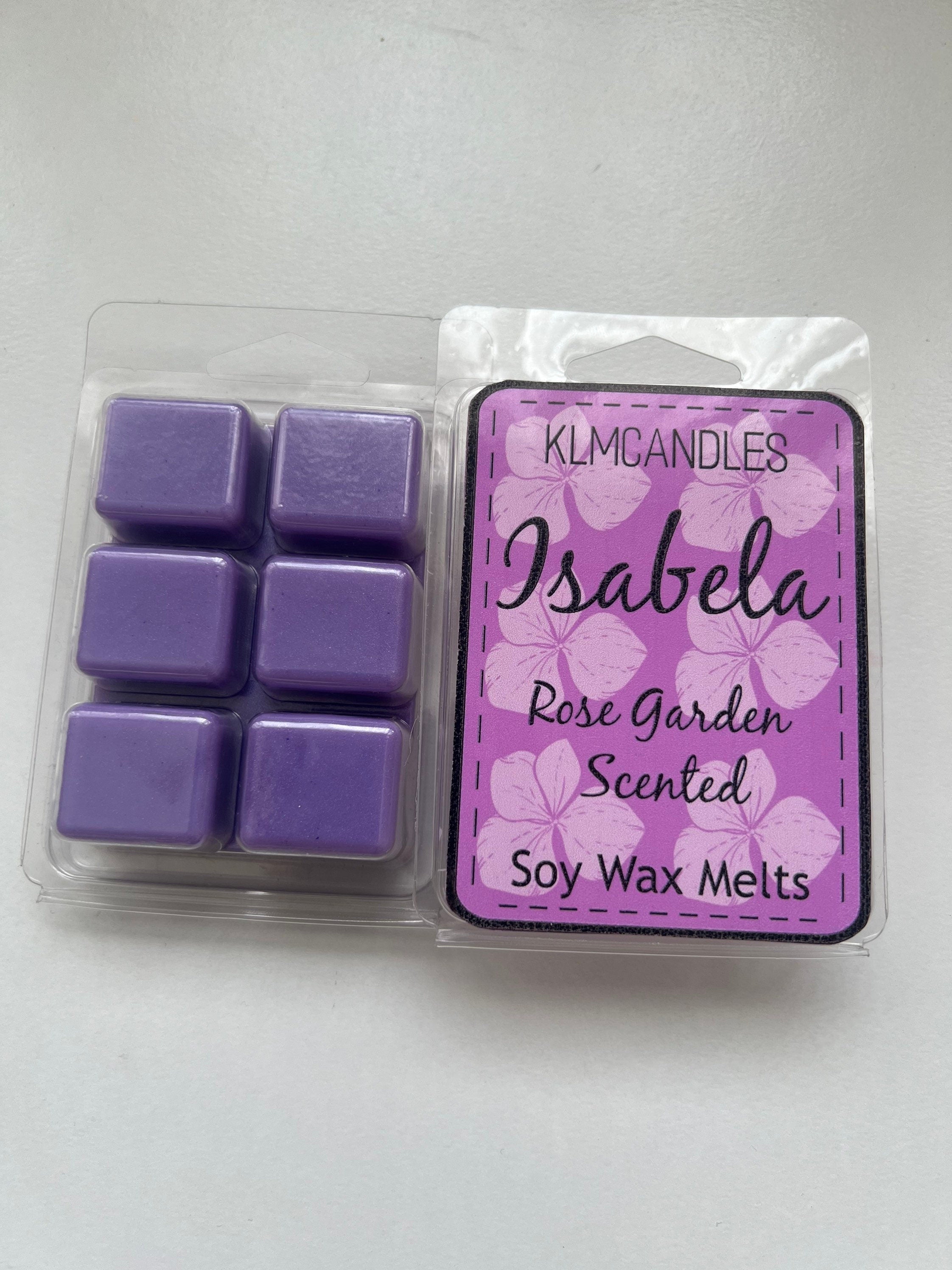 Encanto Inspired Handmade Soy Wax Melts