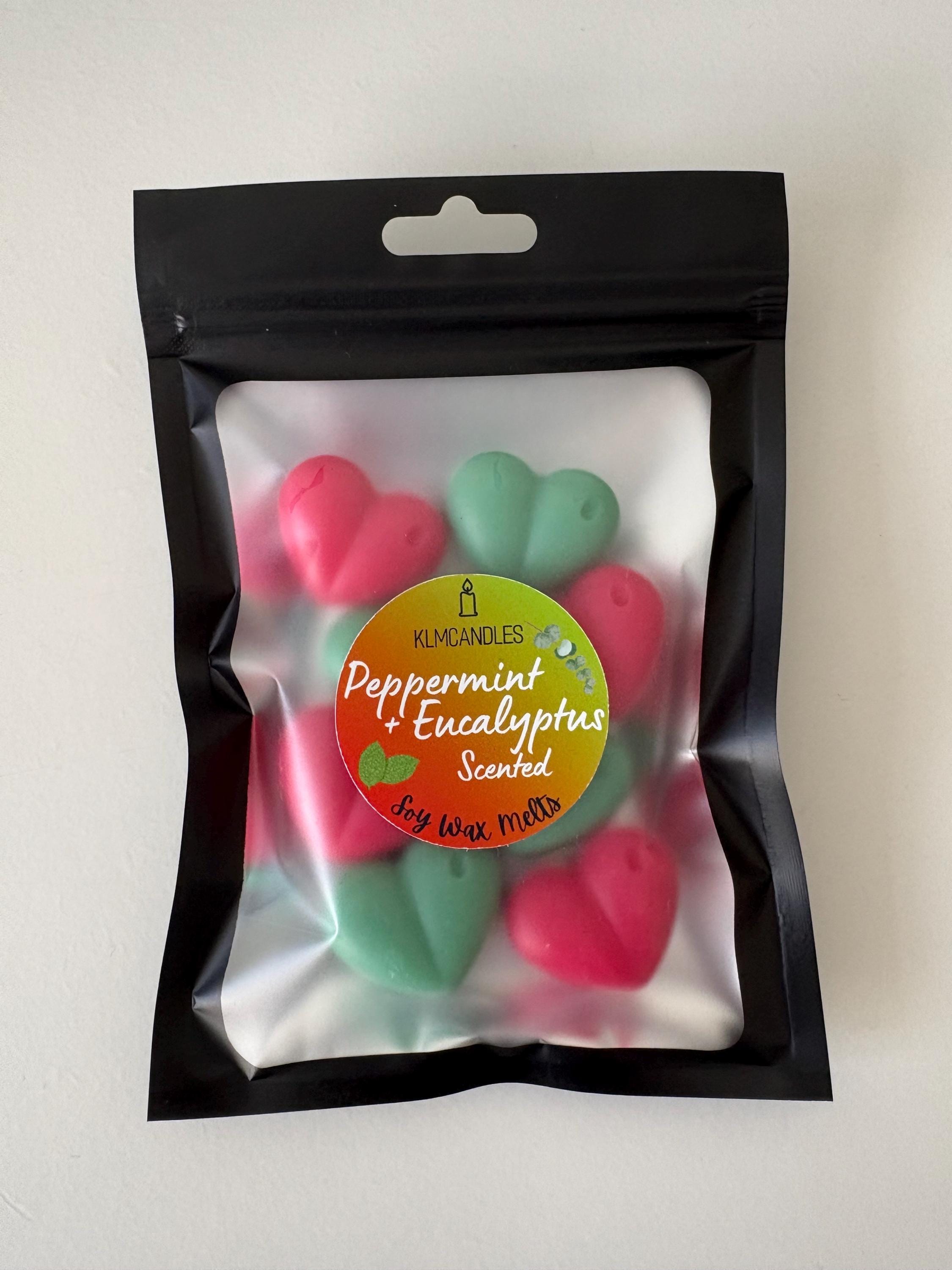 Peppermint and Eucalyptus Scented Handmade Soy Wax Melts