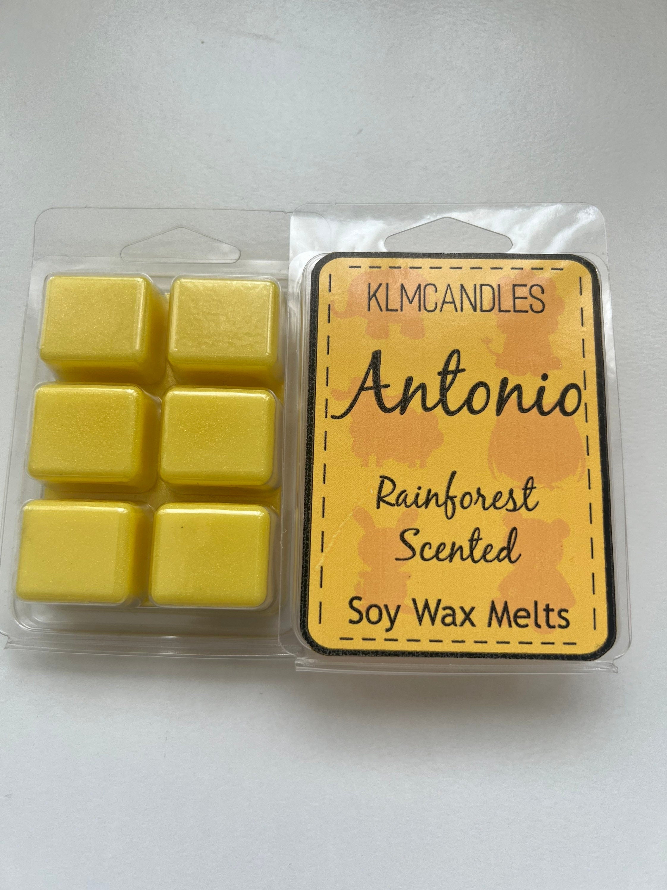 Encanto Inspired Handmade Soy Wax Melts