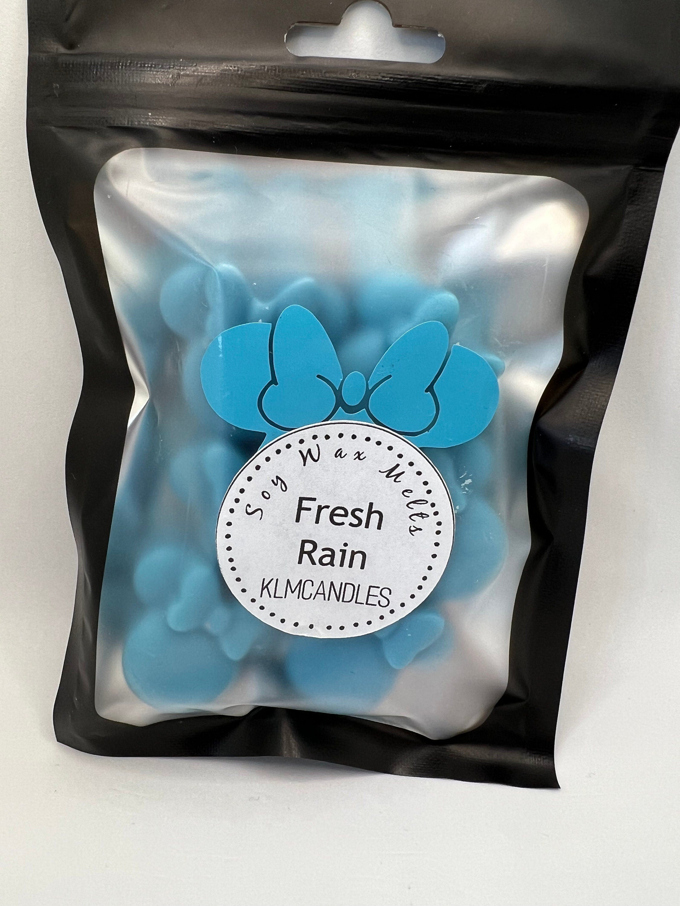 Magic Mouse Character Shaped Handmade Soy Wax Melts