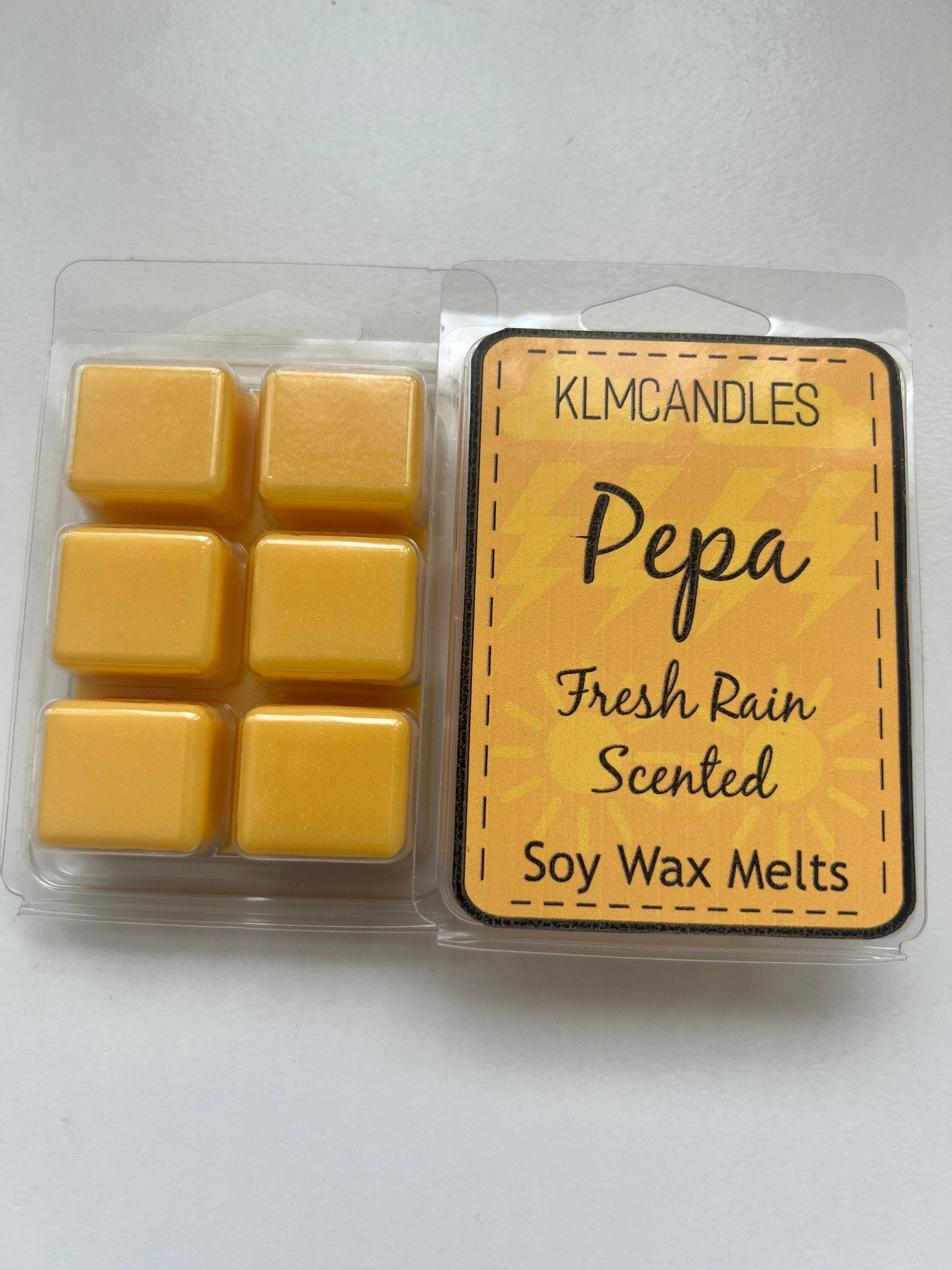 Encanto Inspired Handmade Soy Wax Melts
