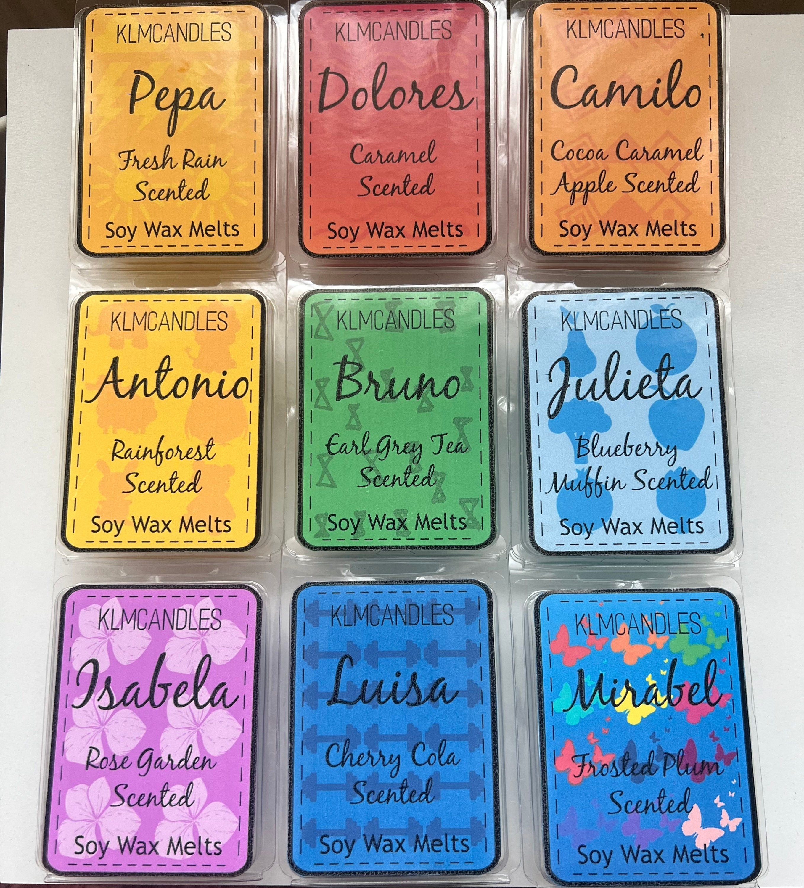 Encanto Inspired Handmade Soy Wax Melts