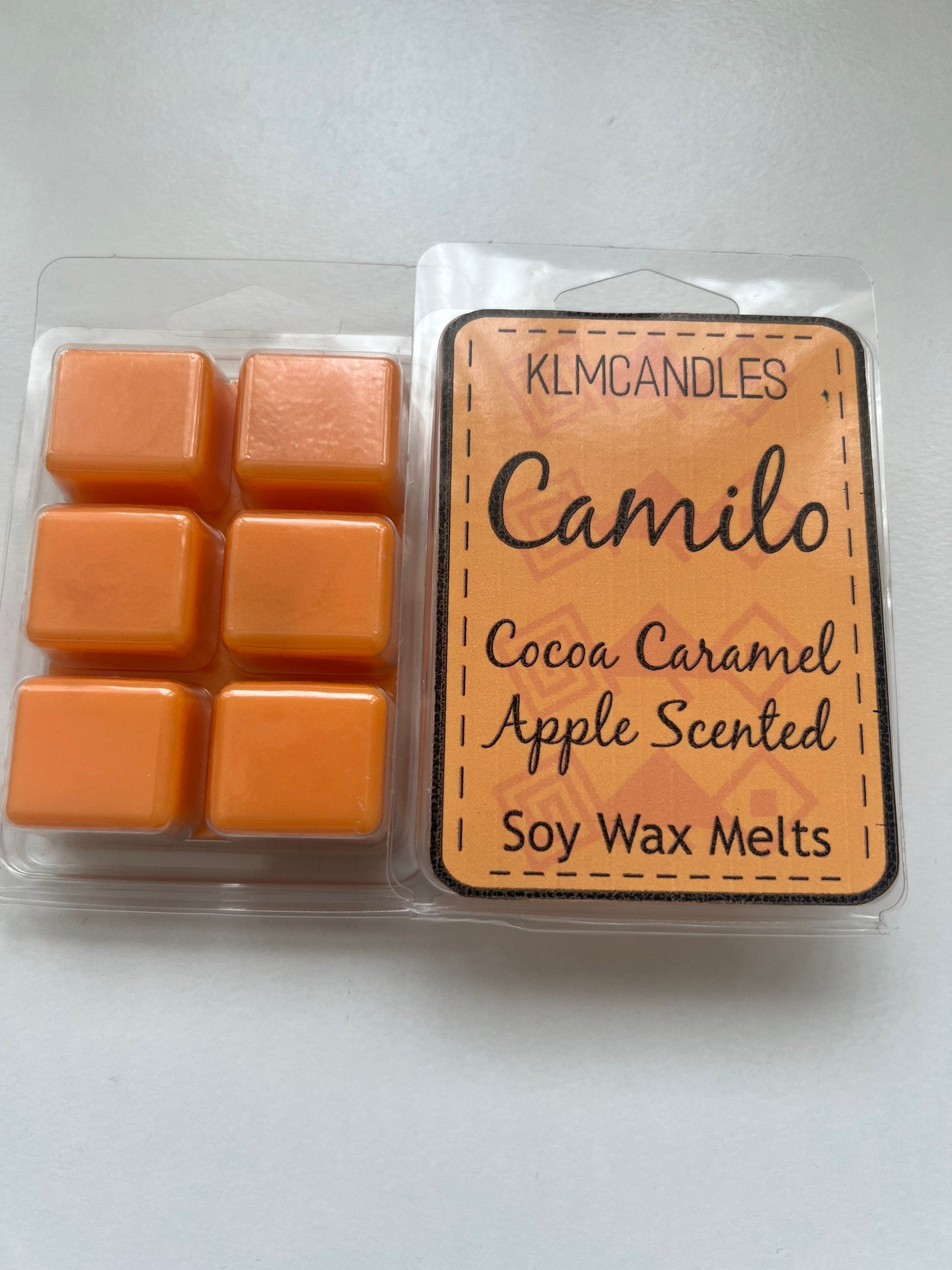 Encanto Inspired Handmade Soy Wax Melts